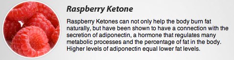 all about raspberry Ketone