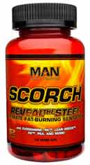 Man scorch review